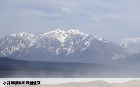 水井坊哪里团购最便宜