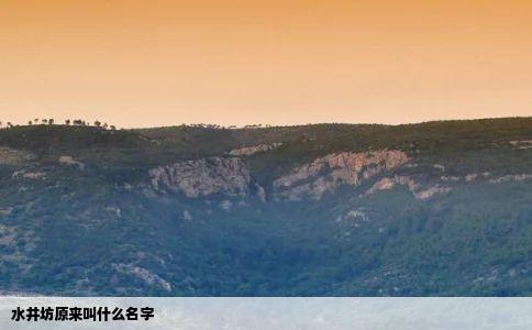 水井坊原来叫什么名字