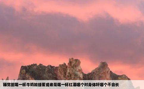 睡觉前喝一杯牛奶加蜂蜜或者是喝一杯红酒哪个对身体好哪个不会长