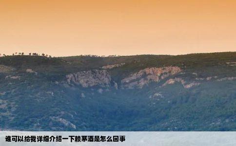 谁可以给我详细介绍一下赖茅酒是怎么回事