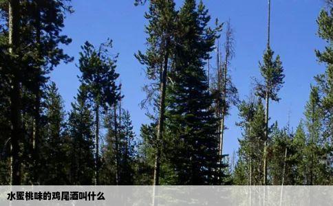 水蜜桃味的鸡尾酒叫什么