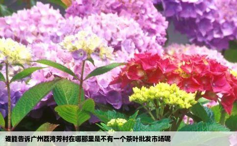 谁能告诉广州荔湾芳村在哪那里是不有一个茶叶批发市场呢