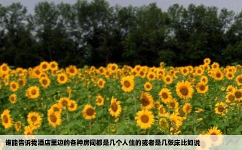 谁能告诉我酒店里边的各种房间都是几个人住的或者是几张床比如说
