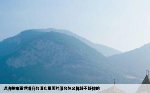 谁清楚东莞世博商务酒店里面的服务怎么样好不好找的