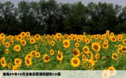 谁有09年10月济南苏荷酒吧那张CD碟