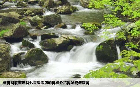 谁有阿联酋迪拜七星级酒店的详细介绍网站或者官网