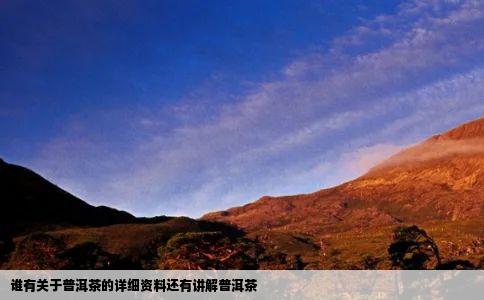 谁有关于普洱茶的详细资料还有讲解普洱茶