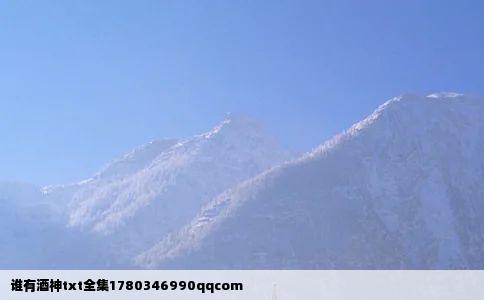 谁有酒神txt全集1780346990qqcom