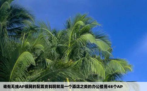 谁有无线AP组网的配置资料啊就是一个酒店之类的办公楼用48个AP