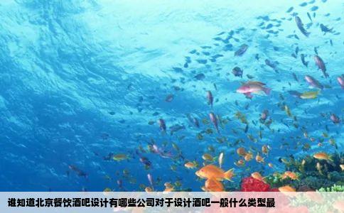 谁知道北京餐饮酒吧设计有哪些公司对于设计酒吧一般什么类型最