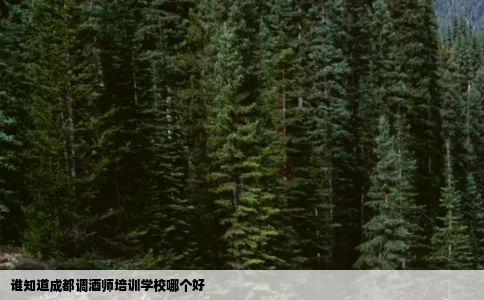 谁知道成都调酒师培训学校哪个好