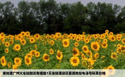 谁知道广州火车站附近有哪些7天连锁酒店还要其地址电话号码及价格