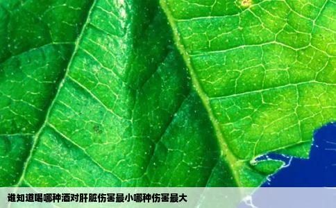 谁知道喝哪种酒对肝脏伤害最小哪种伤害最大