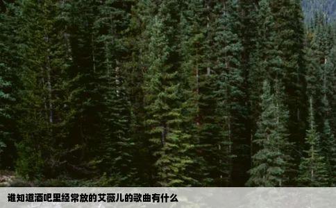 谁知道酒吧里经常放的艾薇儿的歌曲有什么