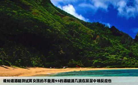 谁知道酒精测试男女孩的不我用95的酒精滴几滴在晨尿中啥反应也