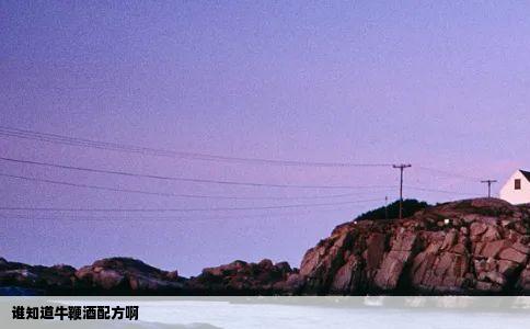 谁知道牛鞭酒配方啊