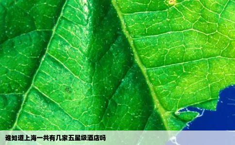 谁知道上海一共有几家五星级酒店吗