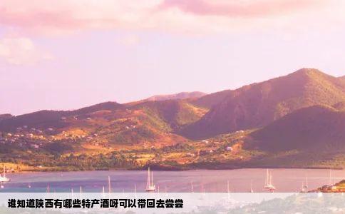 谁知道陕西有哪些特产酒呀可以带回去尝尝