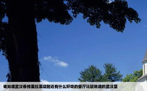 谁知道武汉香格里拉酒店附近有什么好吃的餐厅比较地道的武汉菜