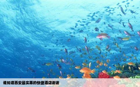 谁知道西安最实惠的快捷酒店谢谢