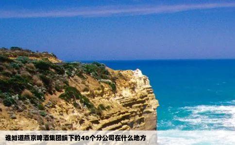 谁知道燕京啤酒集团旗下的40个分公司在什么地方