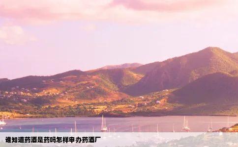 谁知道药酒是药吗怎样申办药酒厂