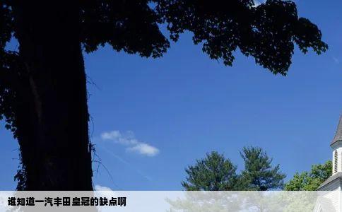 谁知道一汽丰田皇冠的缺点啊