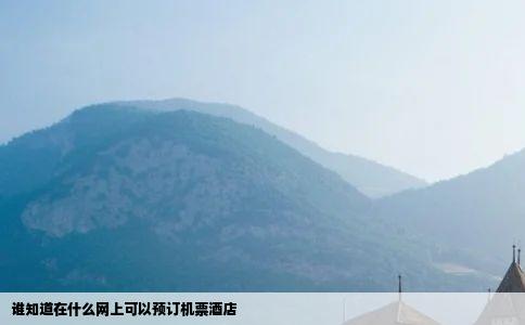 谁知道在什么网上可以预订机票酒店