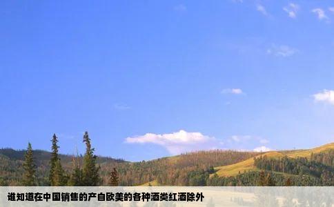 谁知道在中国销售的产自欧美的各种酒类红酒除外
