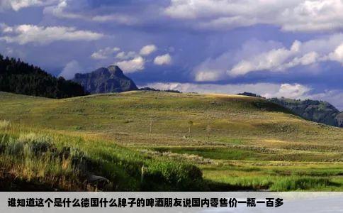 谁知道这个是什么德国什么牌子的啤酒朋友说国内零售价一瓶一百多