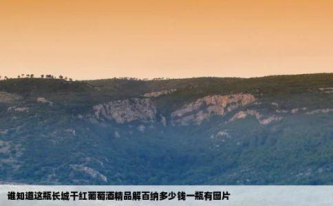 谁知道这瓶长城干红葡萄酒精品解百纳多少钱一瓶有图片