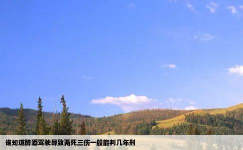 谁知道醉酒驾驶导致两死三伤一般能判几年刑