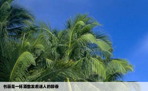 书籍是一杯酒散发着迷人的醇香