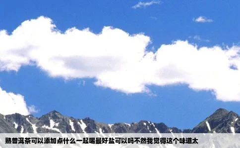 熟普洱茶可以添加点什么一起喝最好盐可以吗不然我觉得这个味道太