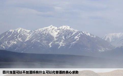 四川泡菜可以不加酒吗有什么可以代替酒的真心求助