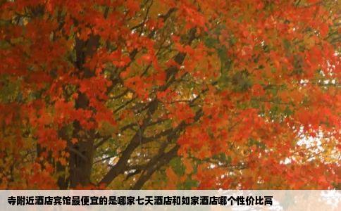 寺附近酒店宾馆最便宜的是哪家七天酒店和如家酒店哪个性价比高