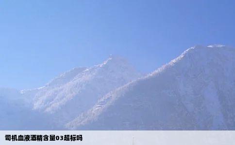 司机血液酒精含量03超标吗