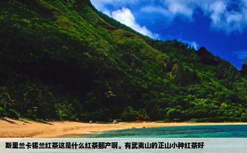 斯里兰卡锡兰红茶这是什么红茶那产啊。有武夷山的正山小种红茶好