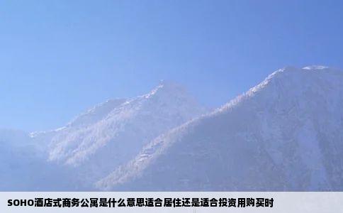 SOHO酒店式商务公寓是什么意思适合居住还是适合投资用购买时