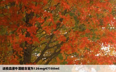 送检血液中酒精含量为126mg47100ml