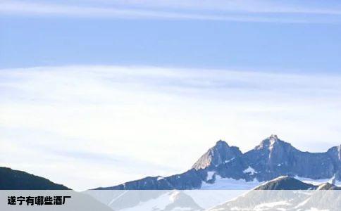 遂宁有哪些酒厂