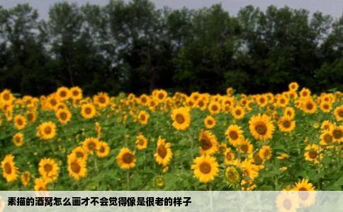 素描的酒窝怎么画才不会觉得像是很老的样子