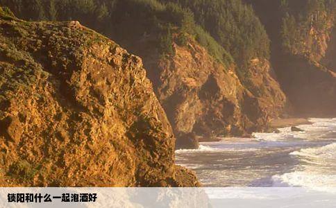 锁阳和什么一起泡酒好