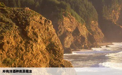 所有洋酒种类及喝法