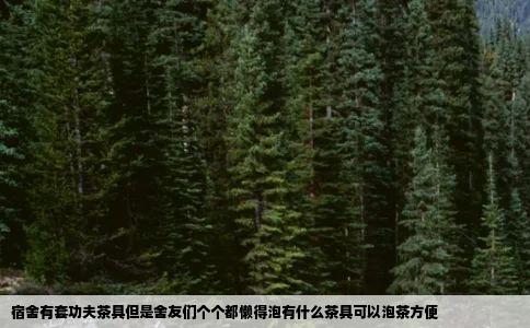 宿舍有套功夫茶具但是舍友们个个都懒得泡有什么茶具可以泡茶方便