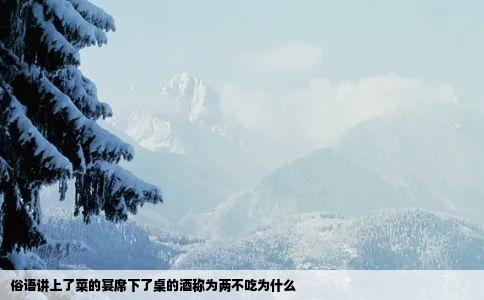 俗语讲上了菜的宴席下了桌的酒称为两不吃为什么