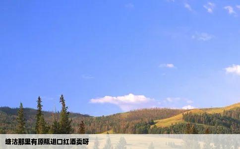 塘沽那里有原瓶进口红酒卖呀