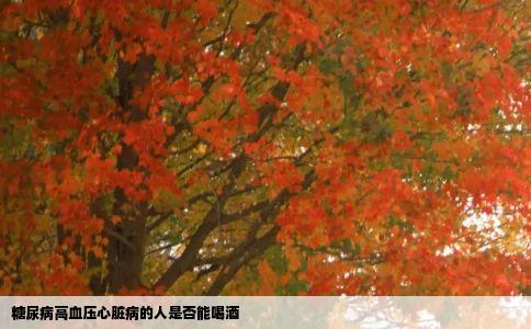 糖尿病高血压心脏病的人是否能喝酒