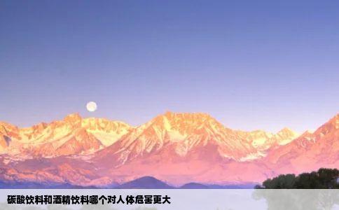 碳酸饮料和酒精饮料哪个对人体危害更大