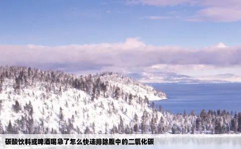 碳酸饮料或啤酒喝急了怎么快速排除腹中的二氧化碳